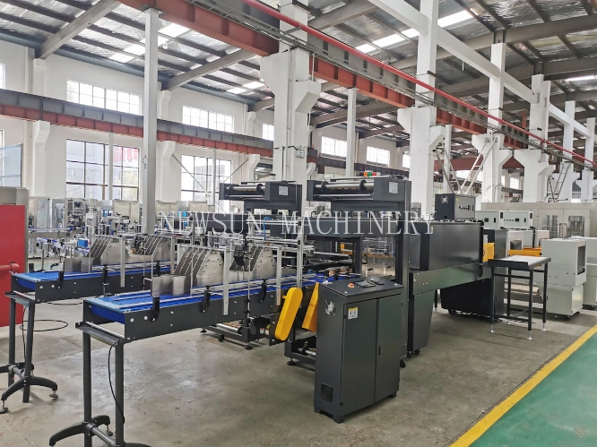 Automatic Water Bottling Plant Washing Sealing Machine / Juice Rinsing Filling Capping Packing Packaging Machinery Price for Full Production Line